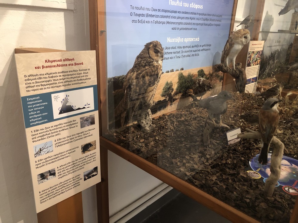 Ριζική ανακαίνιση στο Μουσείο Φυσικής Ιστορίας Γέργερης