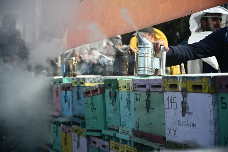 Διαμαρτυρία