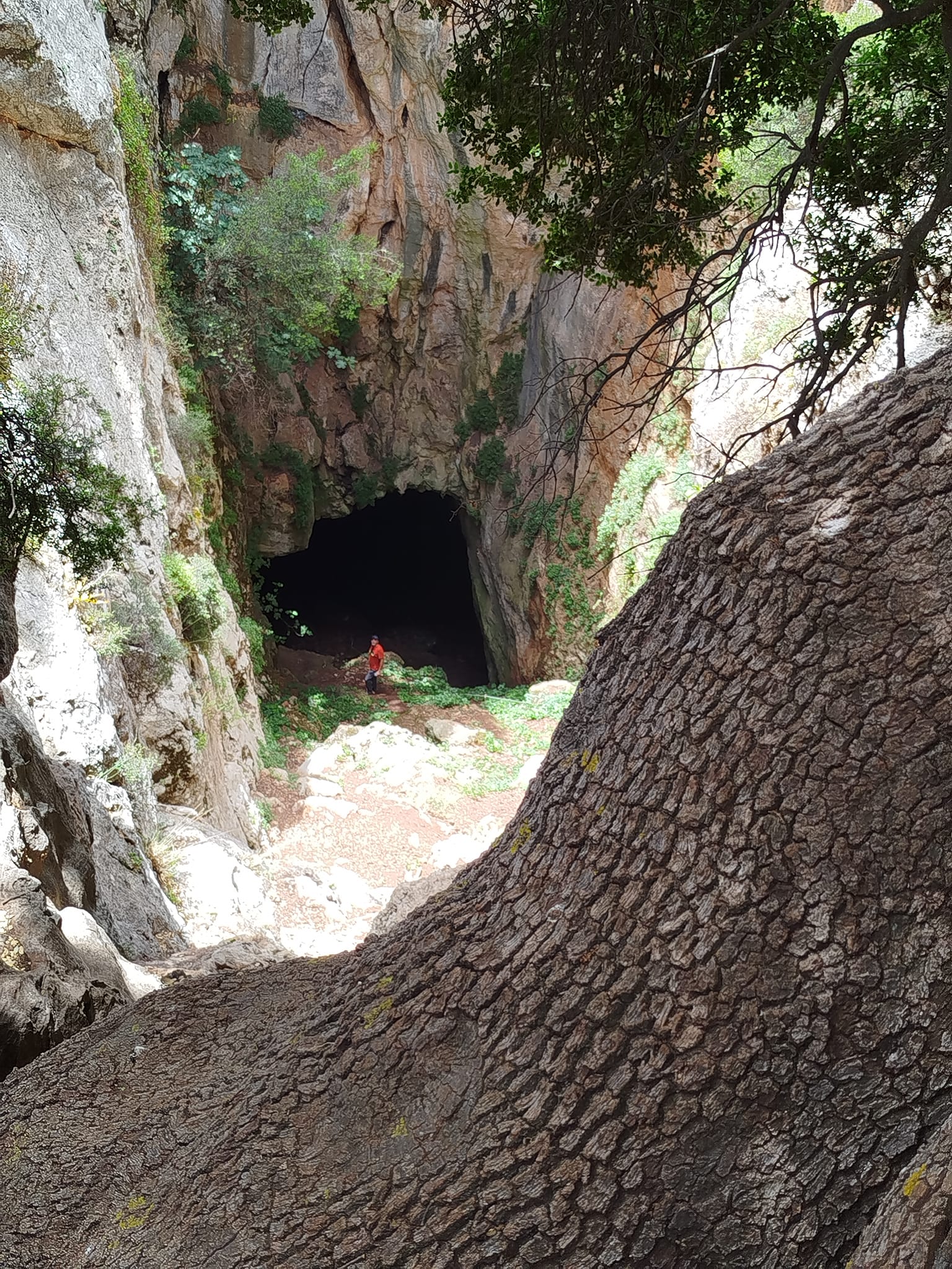 Στο δάσος του Κρούστα πεζοπόρησε ο Ορειβατικός Σύλλογος Αγίου Νικολάου
