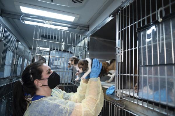 φωτογραφία AP