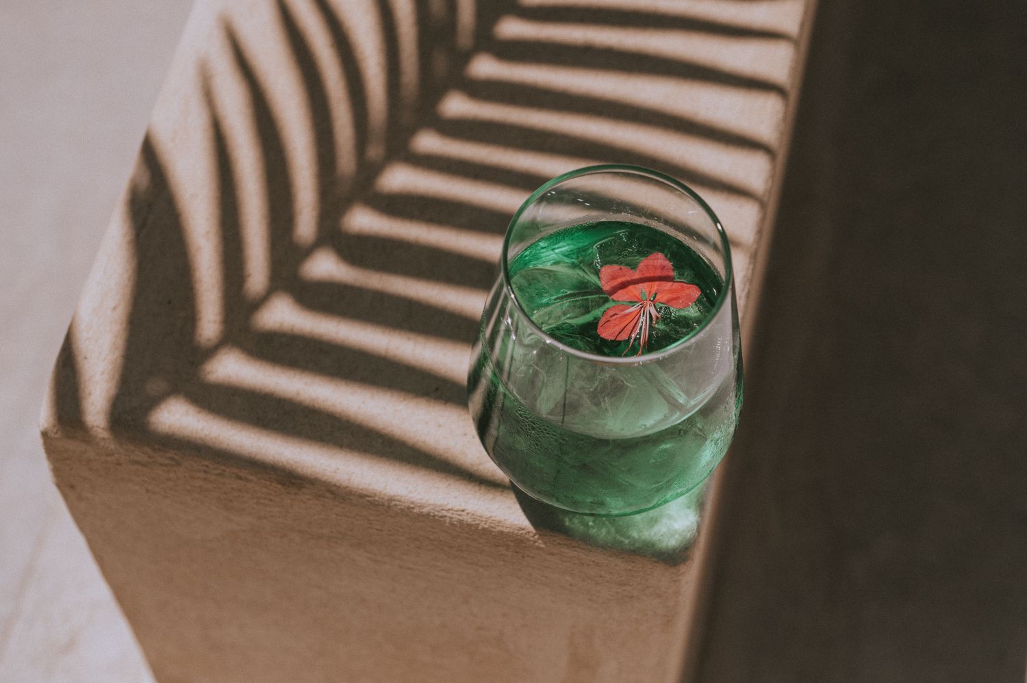 cicada seascape experience