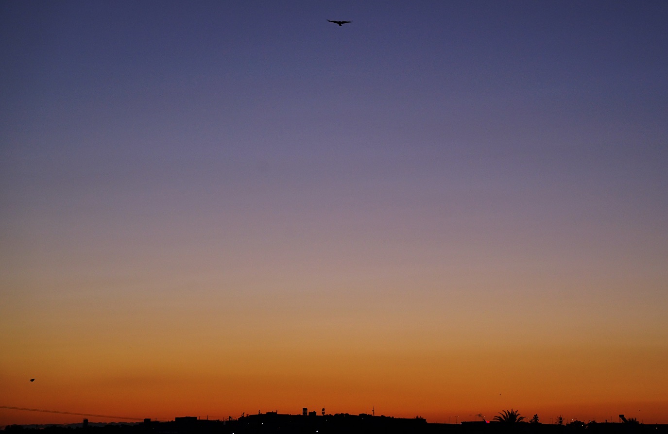 Σωτήρης Τζιγκουνάκης Αυγή Ξημέρωμα