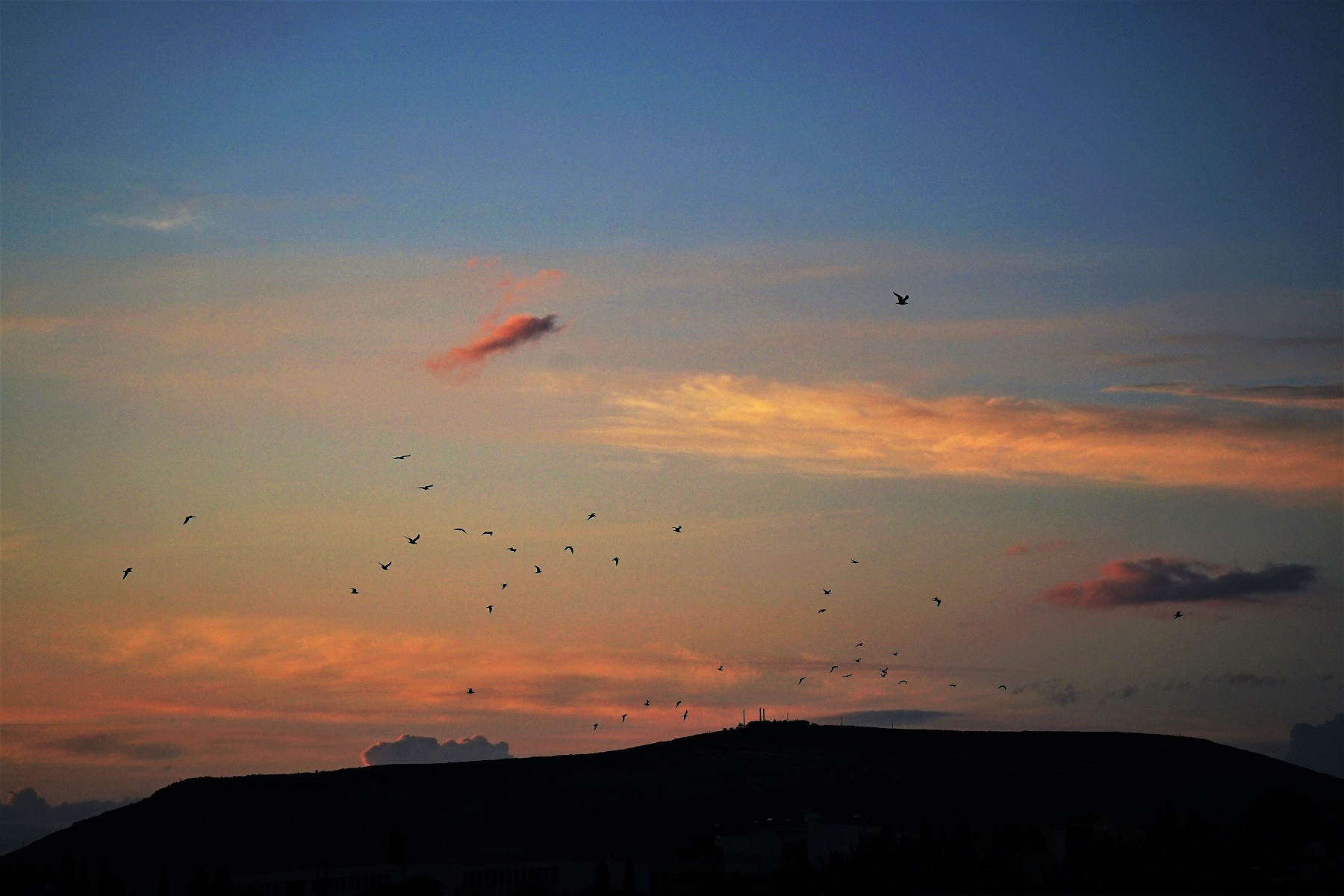 Αυγή Τζιγκουνάκης Χρώματα Ημέρα