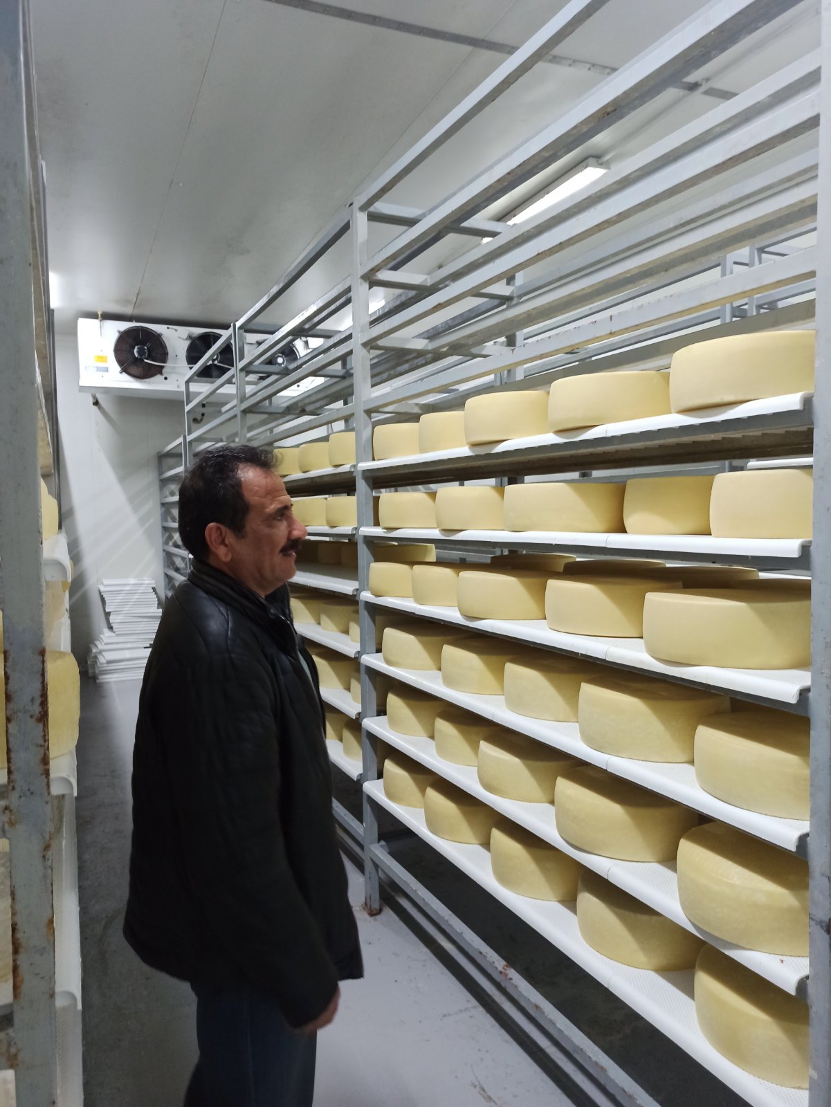 συνεταιρισμός Ανώγεια Χαιρέτης Ρέθυμνο