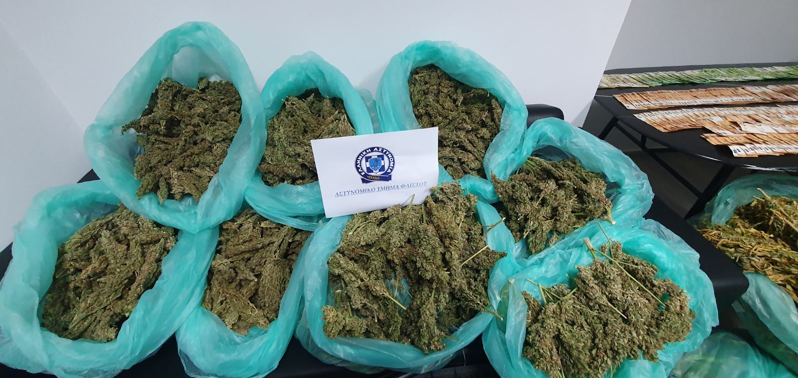 θερμοκήπιο μεσαρά χασίς κάνναβη μεσσαρά ηράκλειο