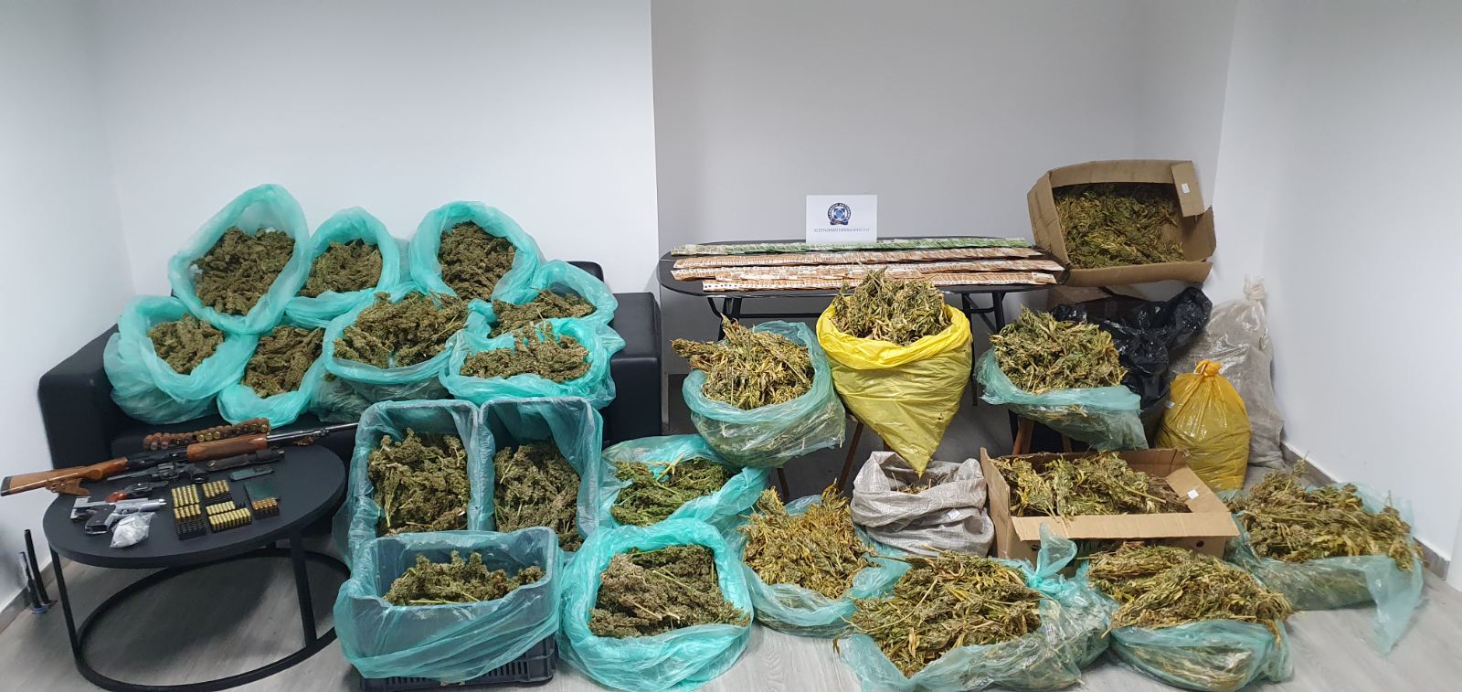 θερμοκήπιο μεσαρά χασίς κάνναβη μεσσαρά ηράκλειο