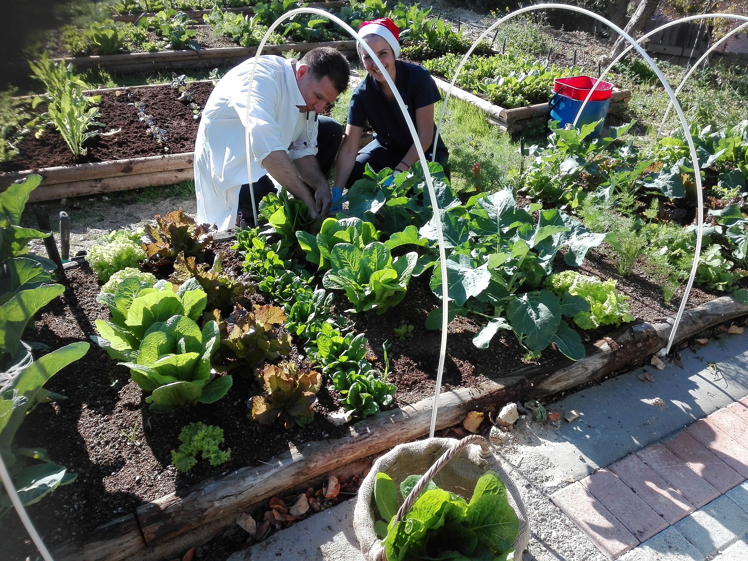 μικρό σχολείο της γης