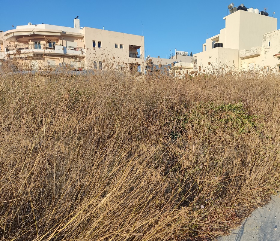 Αρχιεπισκόπου Ευγενίου