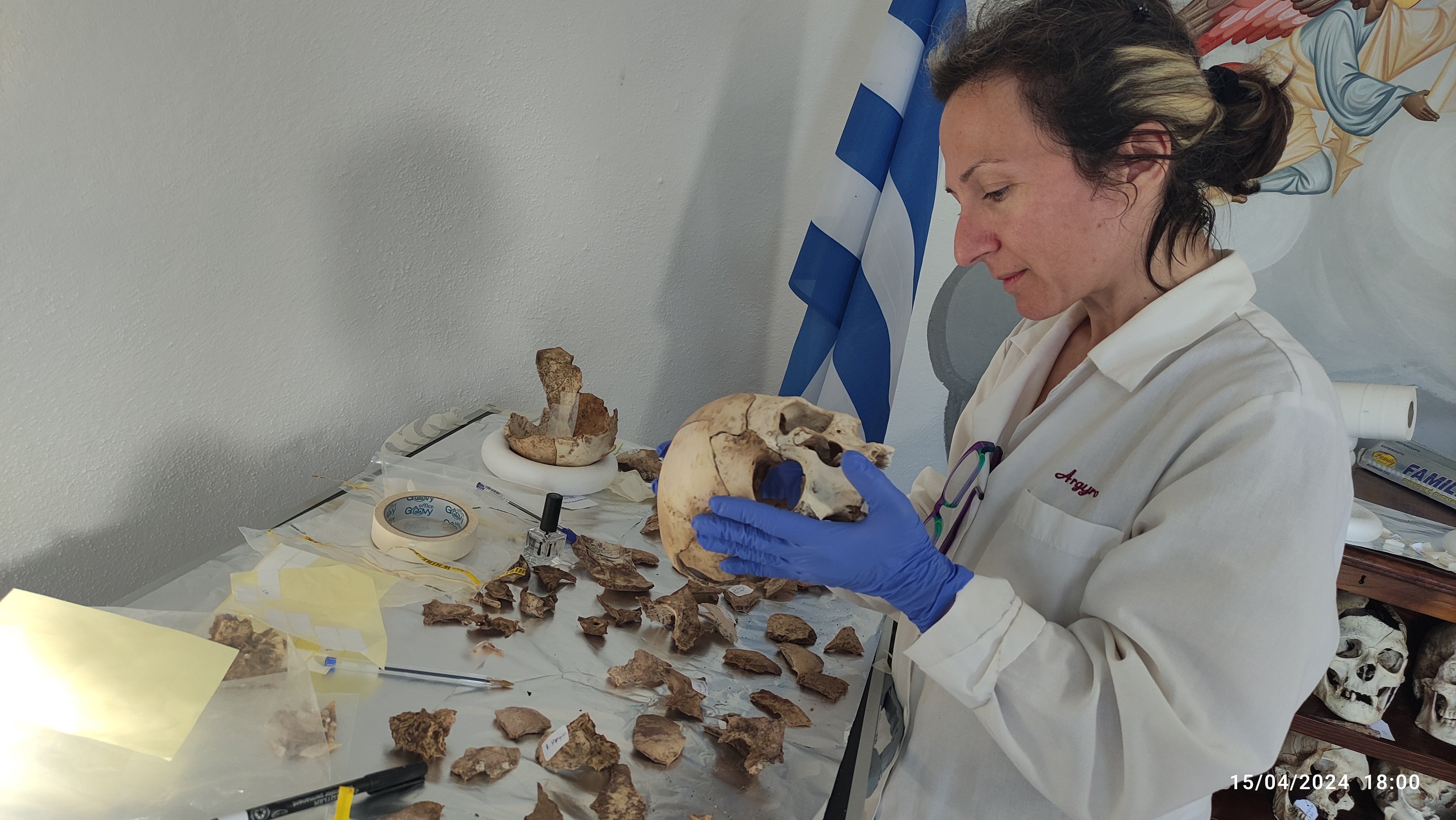 Ναυπλιώτου