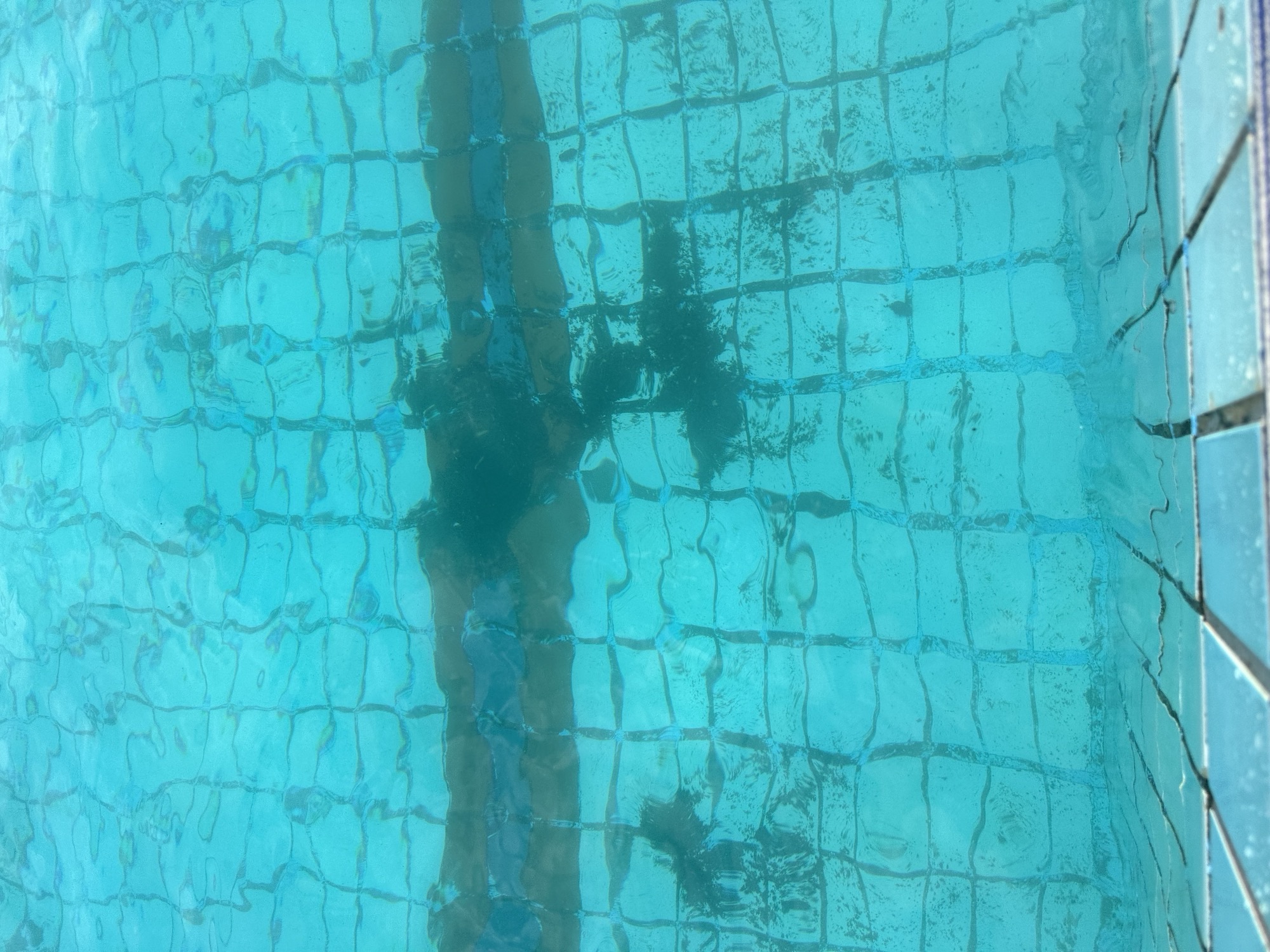 κολυμβητήριο