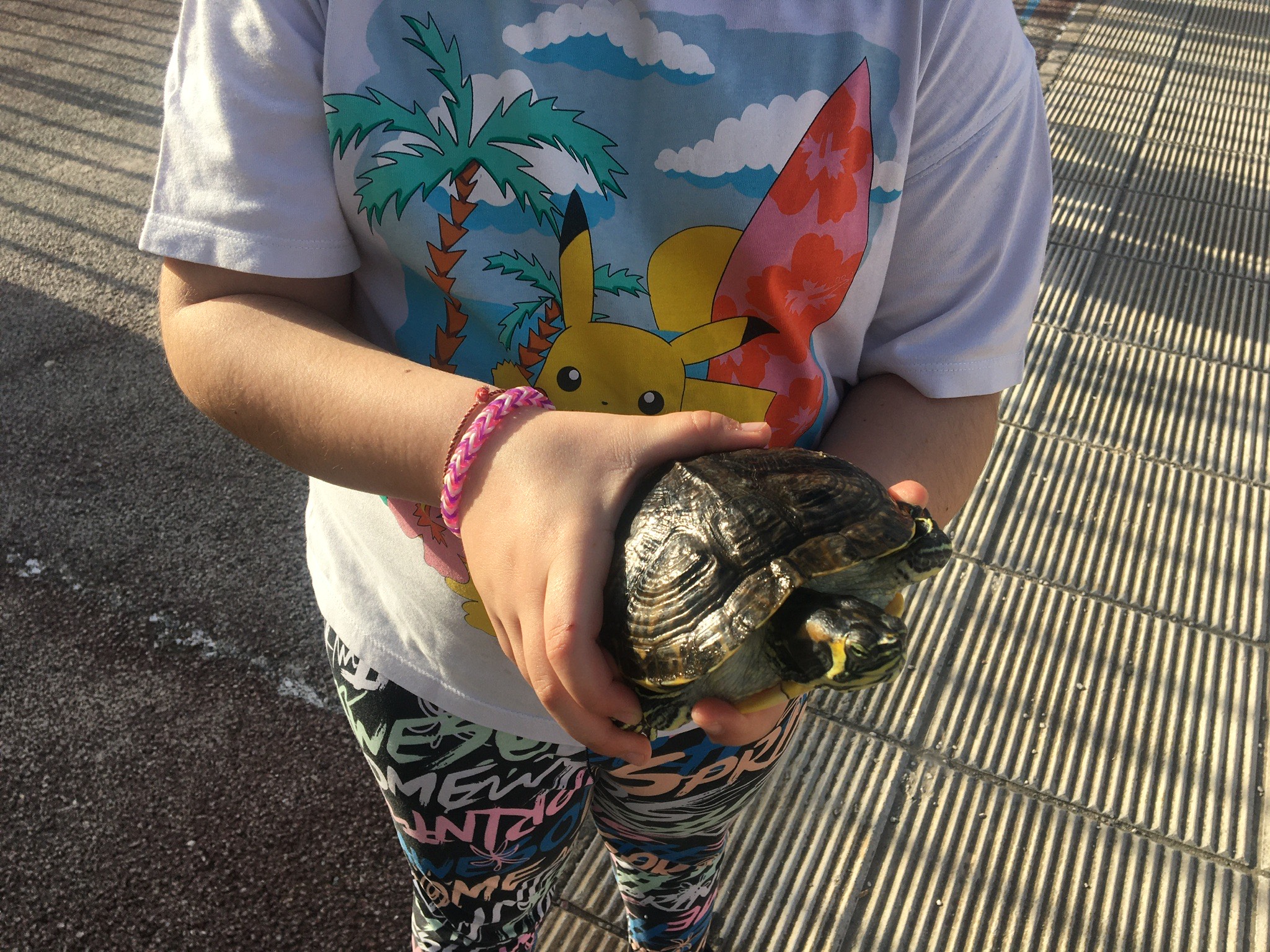 σχολείο κατοικίδια Ηράκλειο Νέα Αλικαρνασσός Αντώνης Περισυνάκης