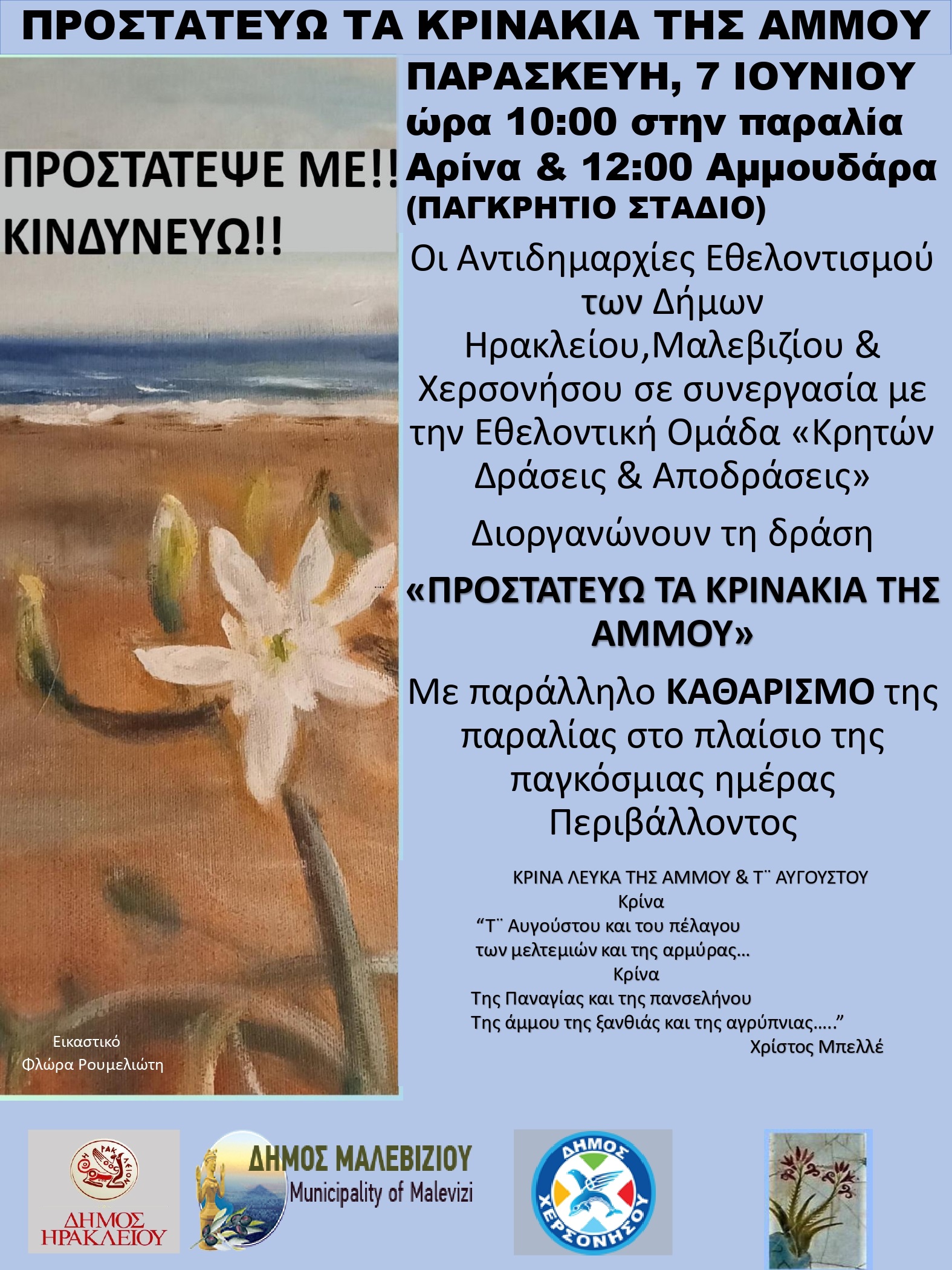 κρινάκι της άμμου παραλίες Ηράκλειο