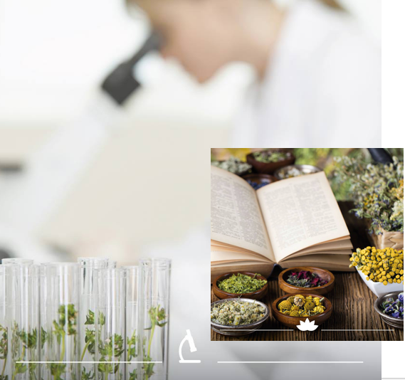 CRETAN IAMA: Η φυσική λύση για την γρηγορότερη αντιμετώπιση των ιώσεων του αναπνευστικού 