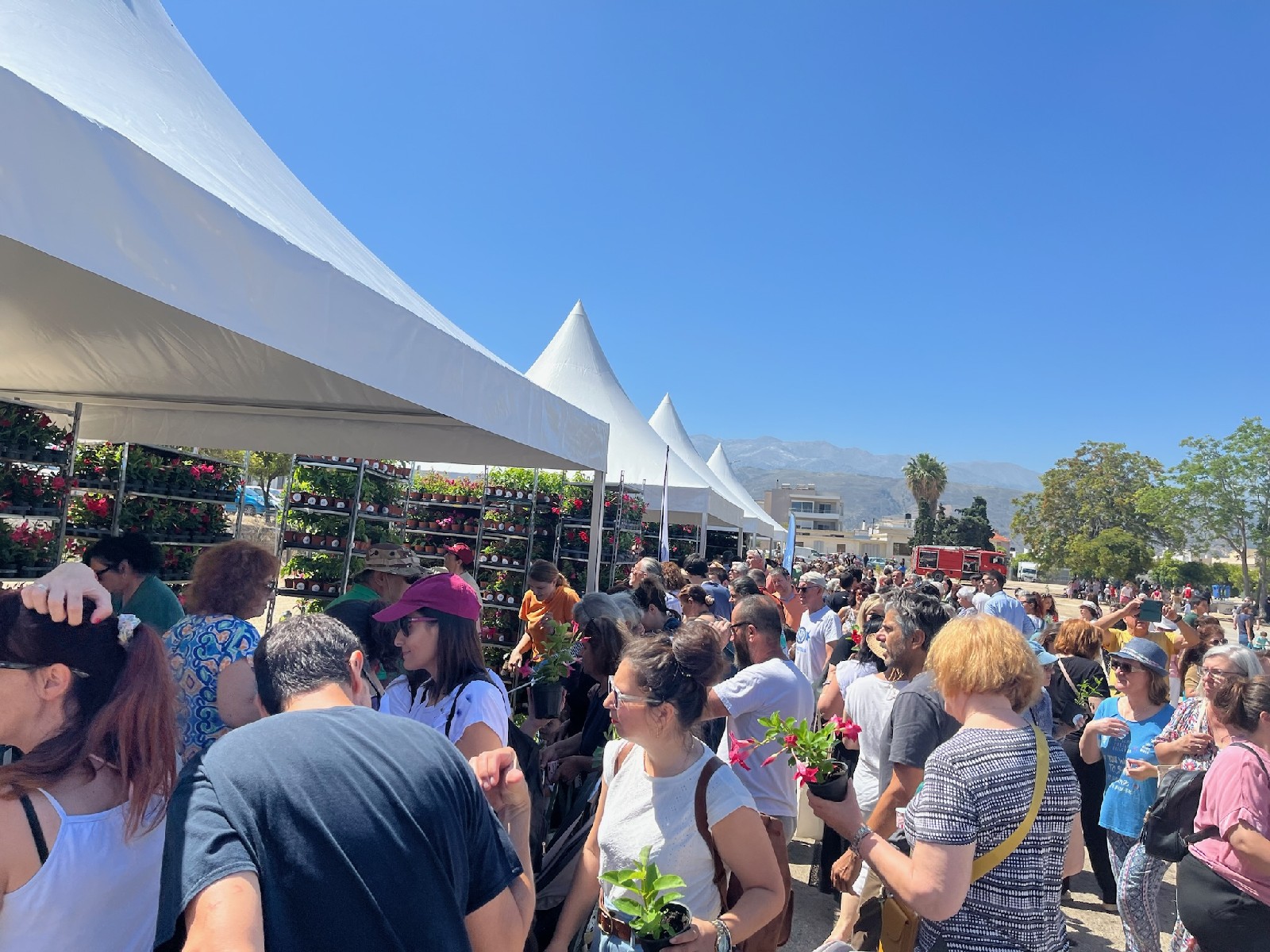 παγκόσμια ημέρα περιβάλλοντος Χανιά