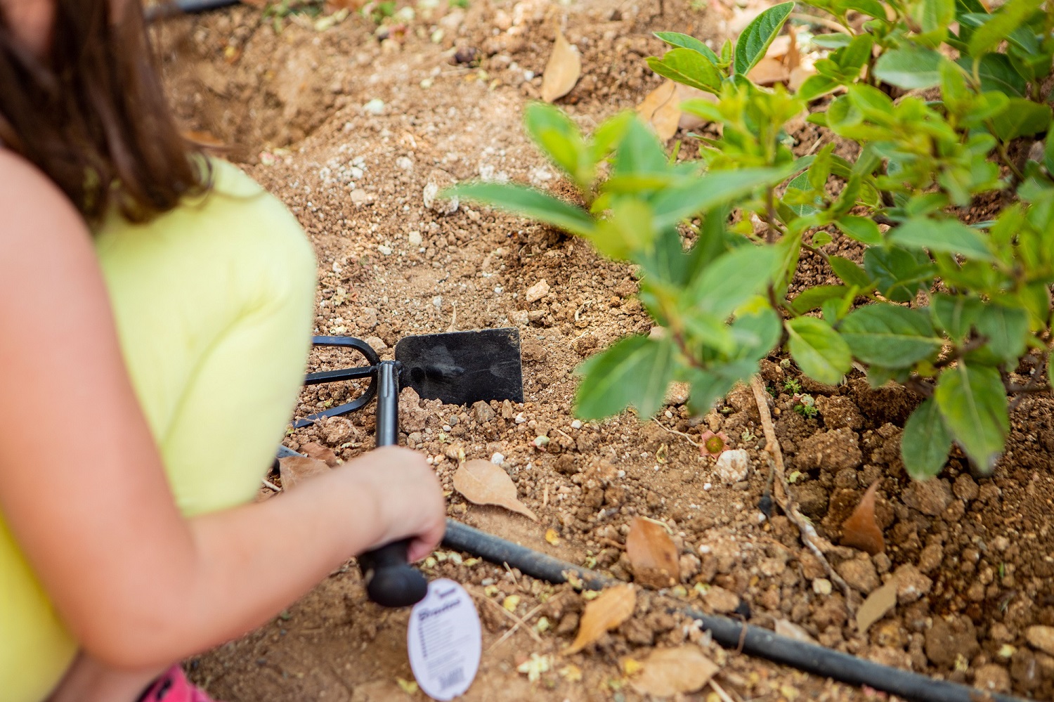 χαλκιαδάκης