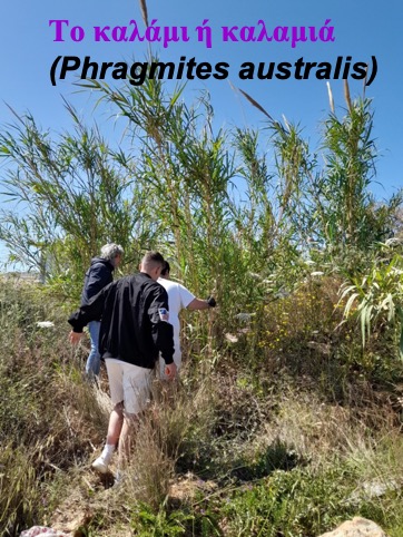 μουσικό σχολείο