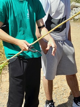 μουσικό σχολείο