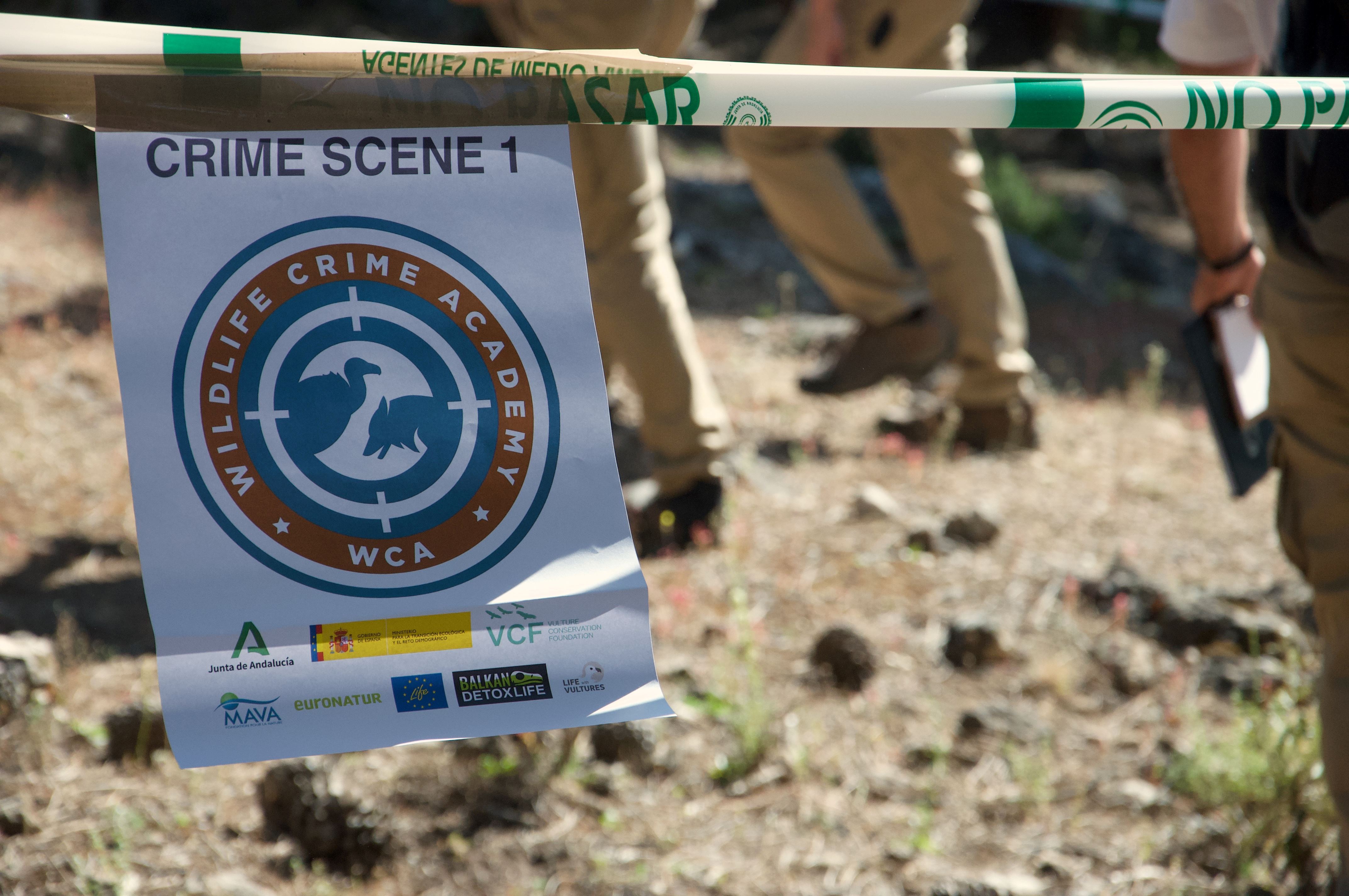 ορνιθολογικη