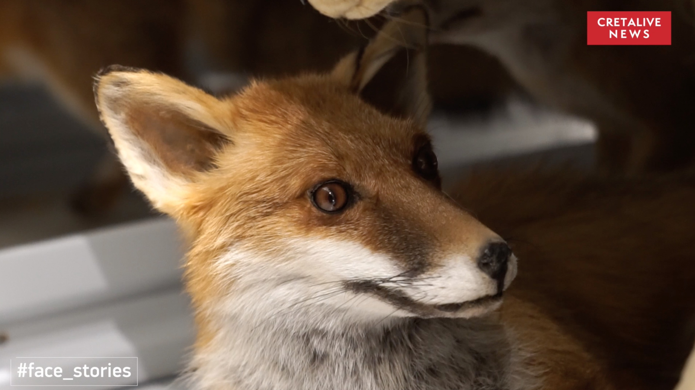 συλλογή ΜΦΙΚ