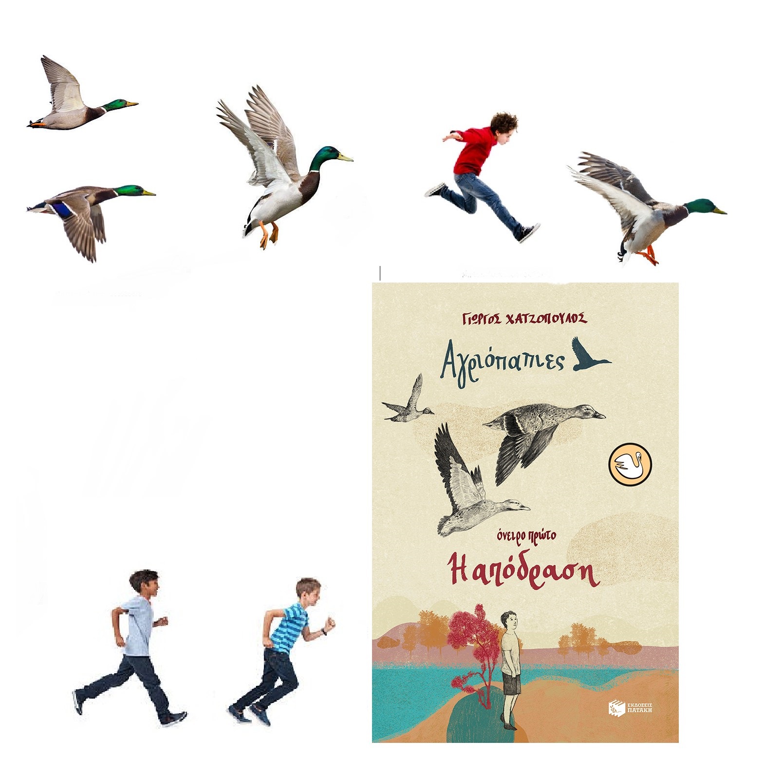 Αγριόπαπιες