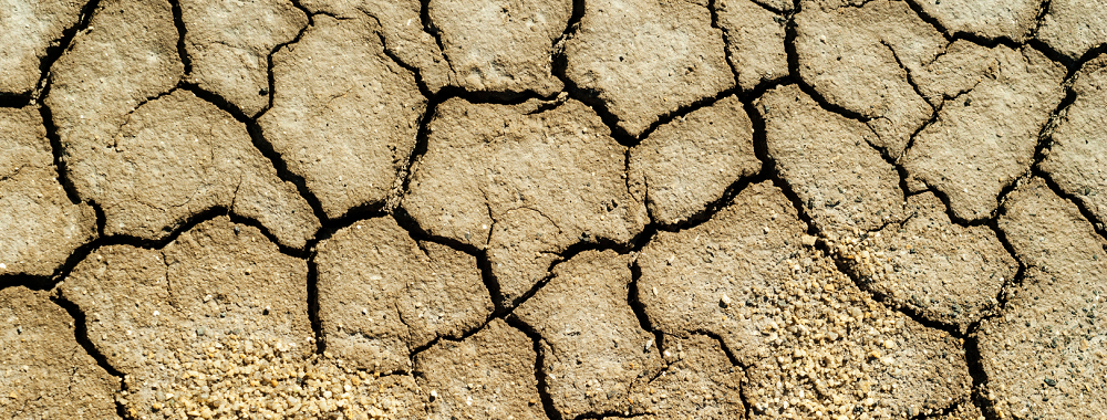 Αλατότητα εδάφους