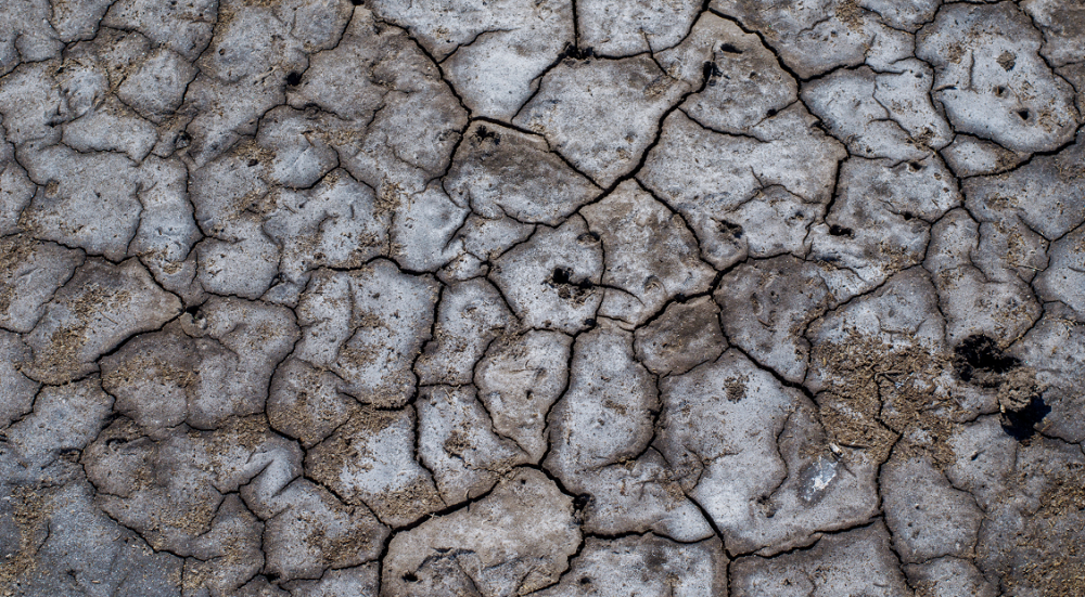Αλατότητα εδάφους