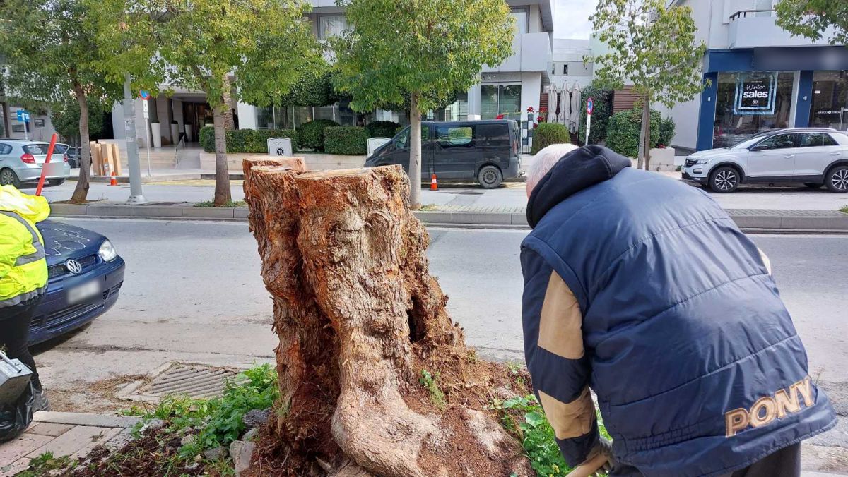 almyriki dentro dimokratias