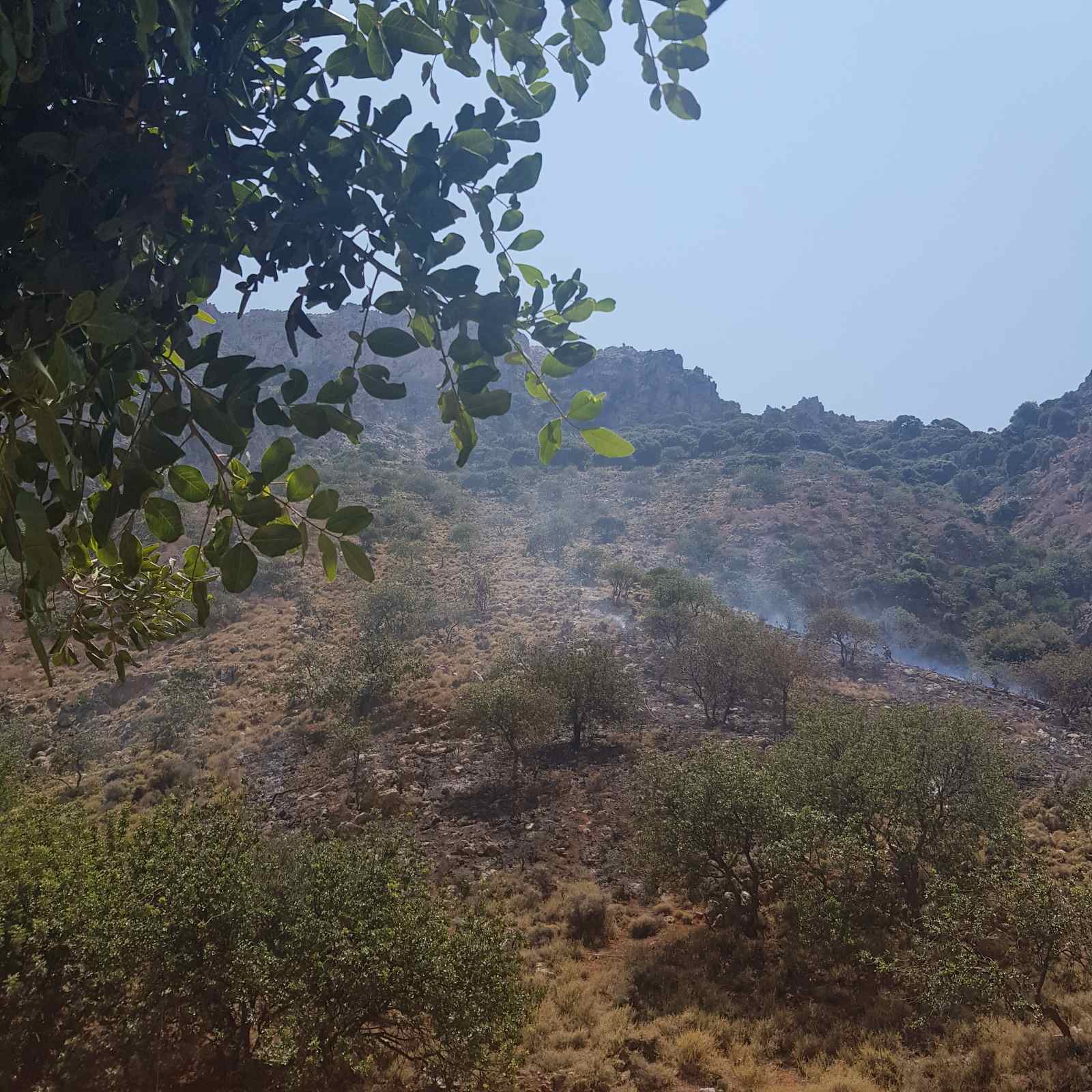 φαράγγι Αλμυρός Δήμος Ηρακλείου Ηράκλειο Πυροσβεστική