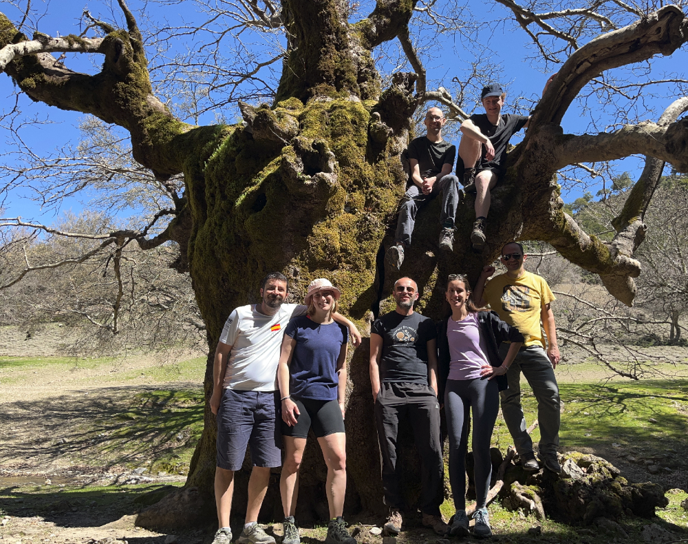 Σταματάκης