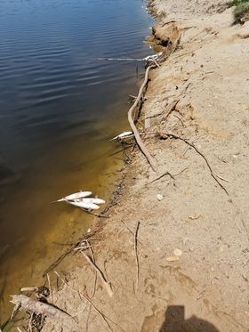 Φωτογραφία Μ. Τ