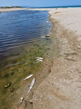 Φωτογραφία Μ. Τ