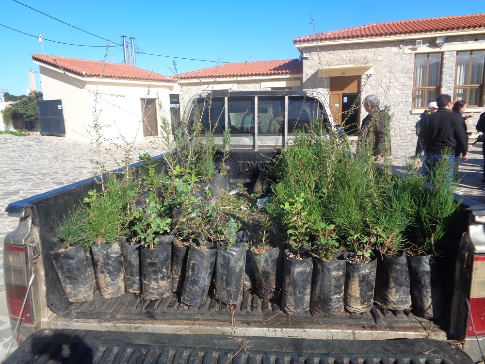 Αστυράκι δενδροφύτευση