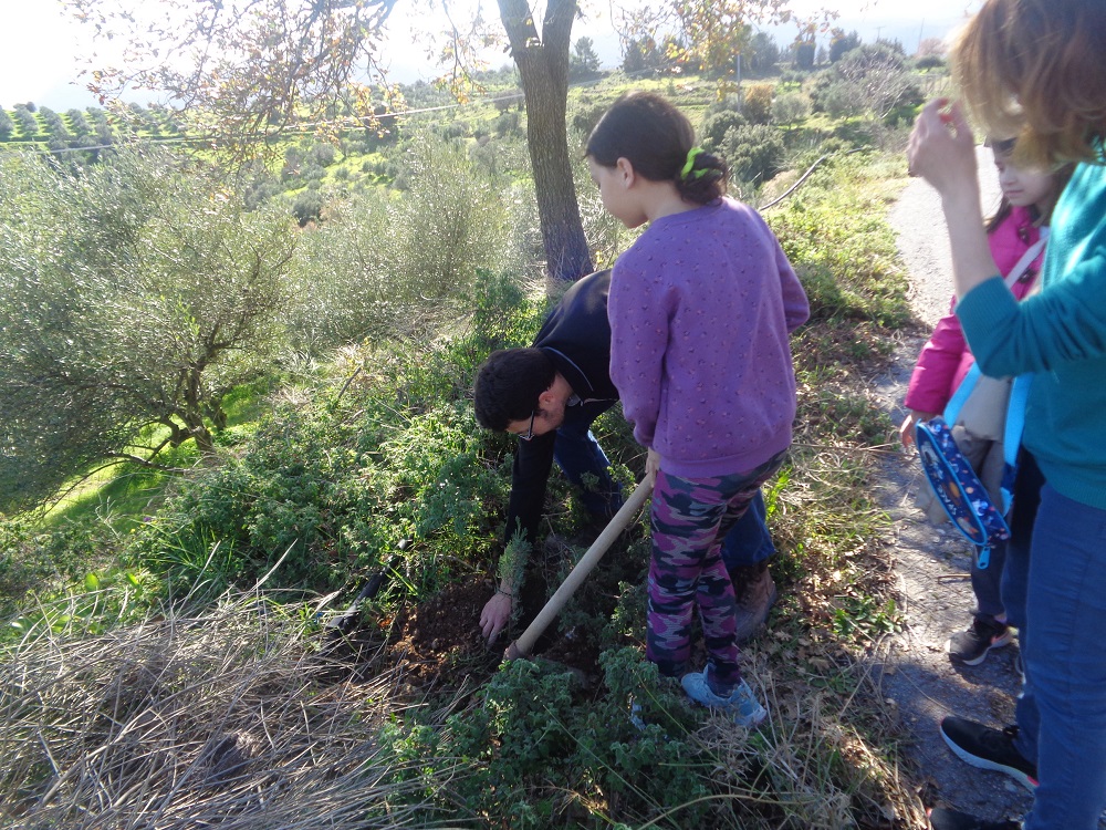 Αστυράκι δενδροφύτευση