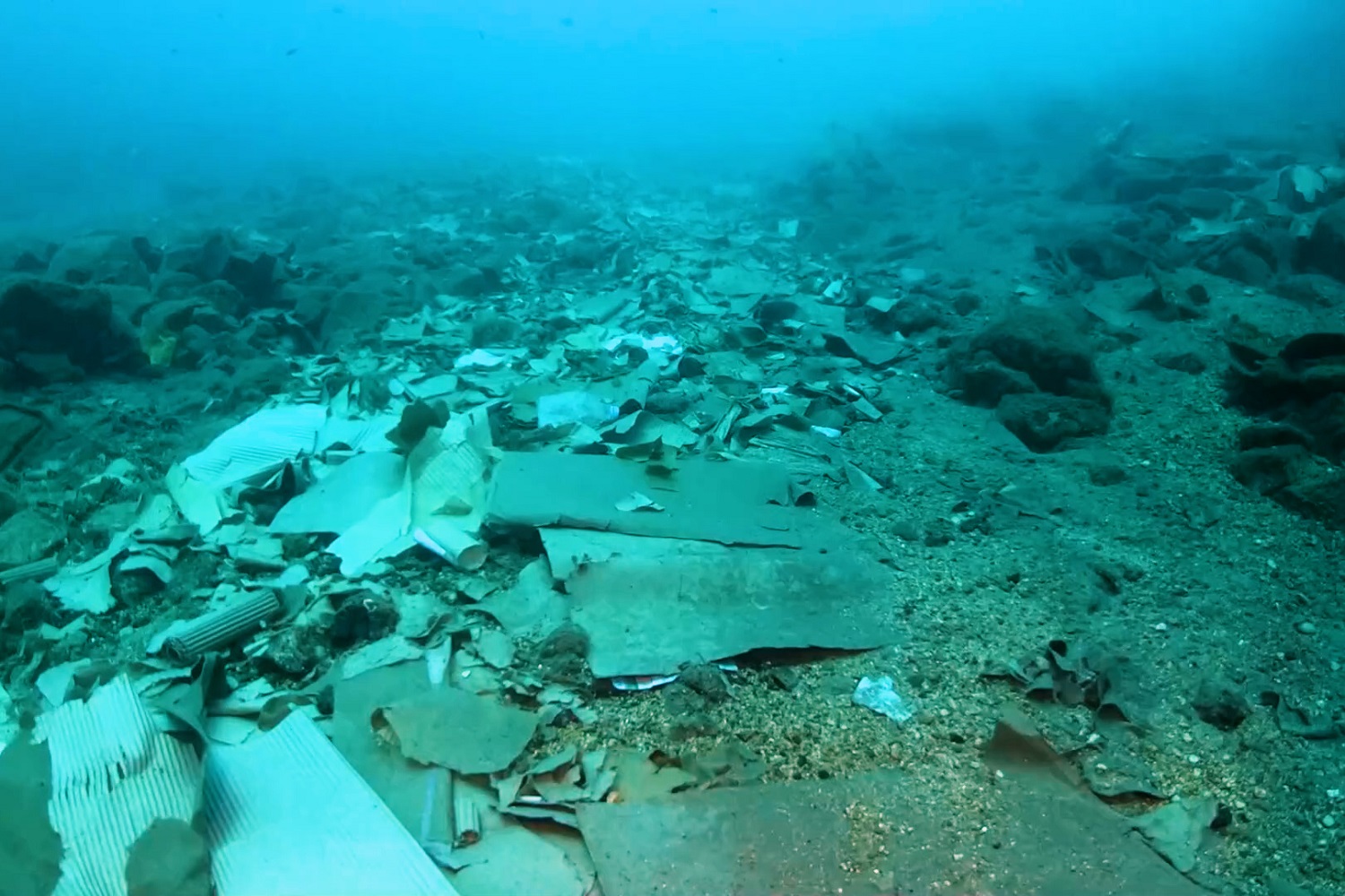 Καθαρισμός θάλασσα