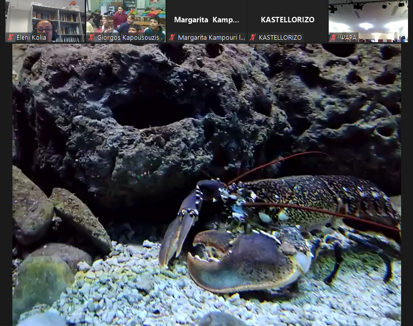 ξενάγηση ενυδρείο