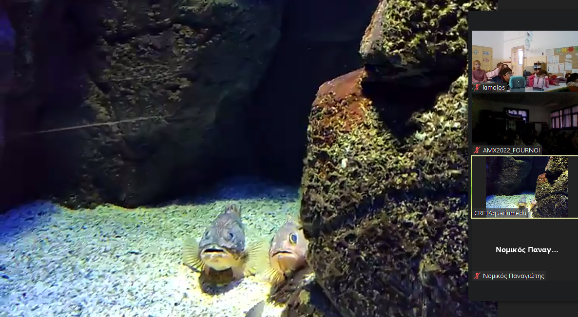 ξενάγηση ενυδρείο