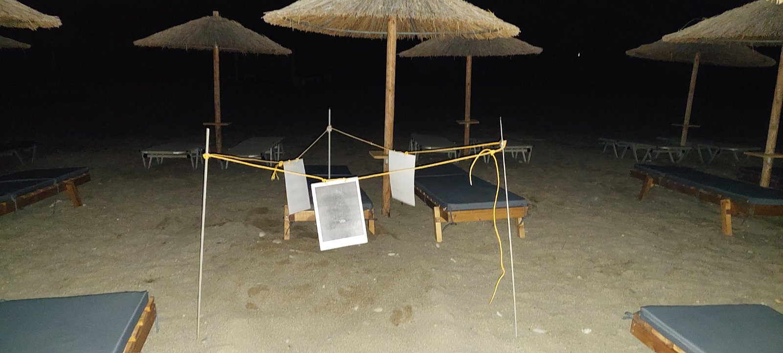 Δανόνι Θαλάσσια Χελώνα Φύση Αυγά Παραλία Ρέθυμνο