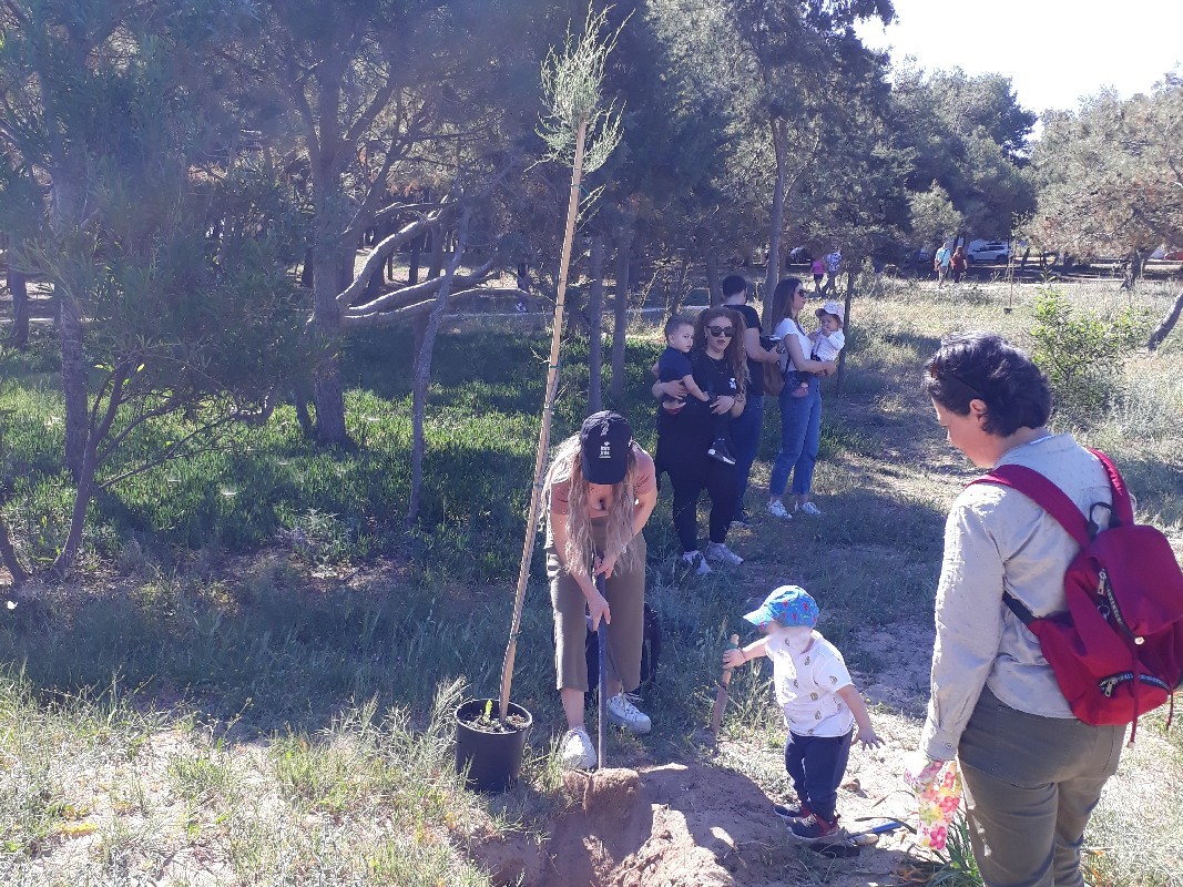 δεντροφύτευση Άγιοι Απόστολοι Χανιά