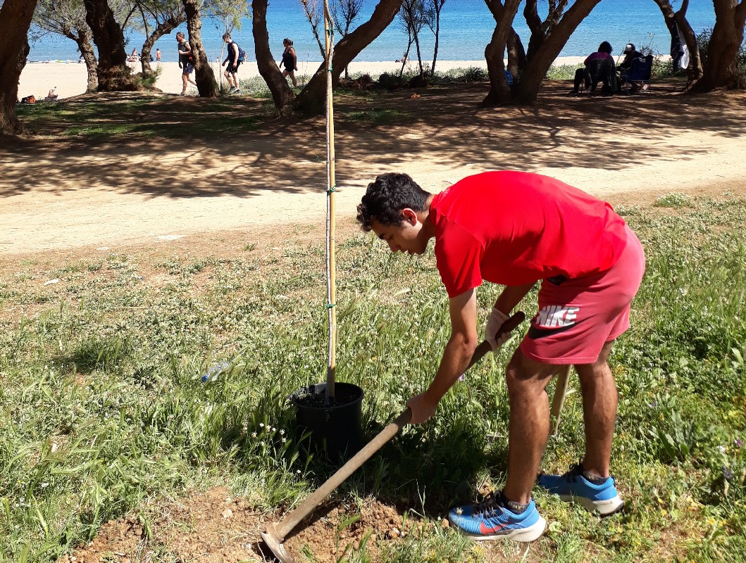 δεντροφύτευση Άγιοι Απόστολοι Χανιά