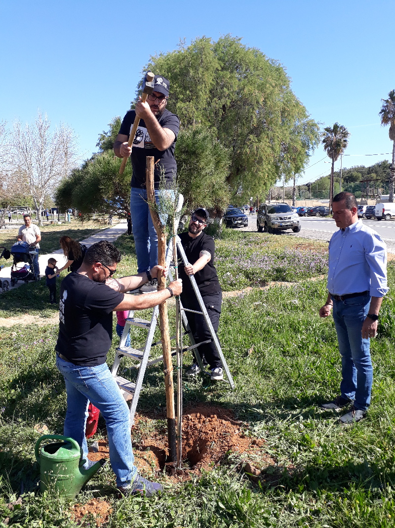 δεντροφύτευση Άγιοι Απόστολοι Χανιά