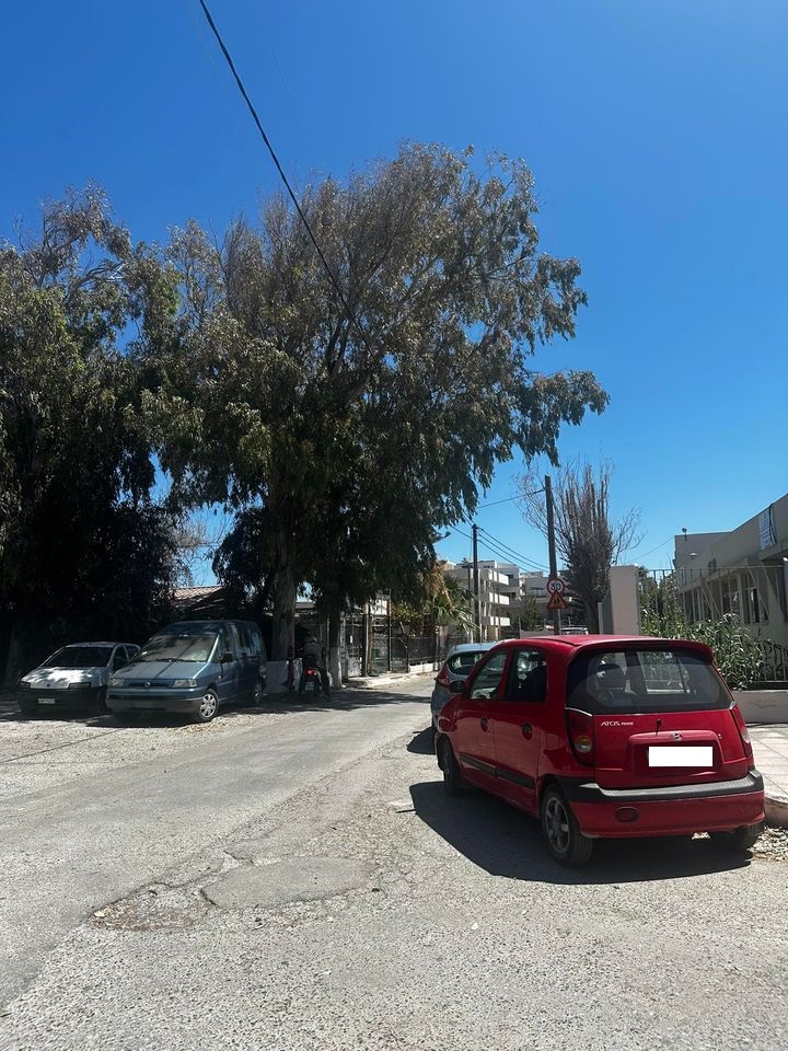 Δέντρα Νηπιαγωγείο Οδός Έβρου