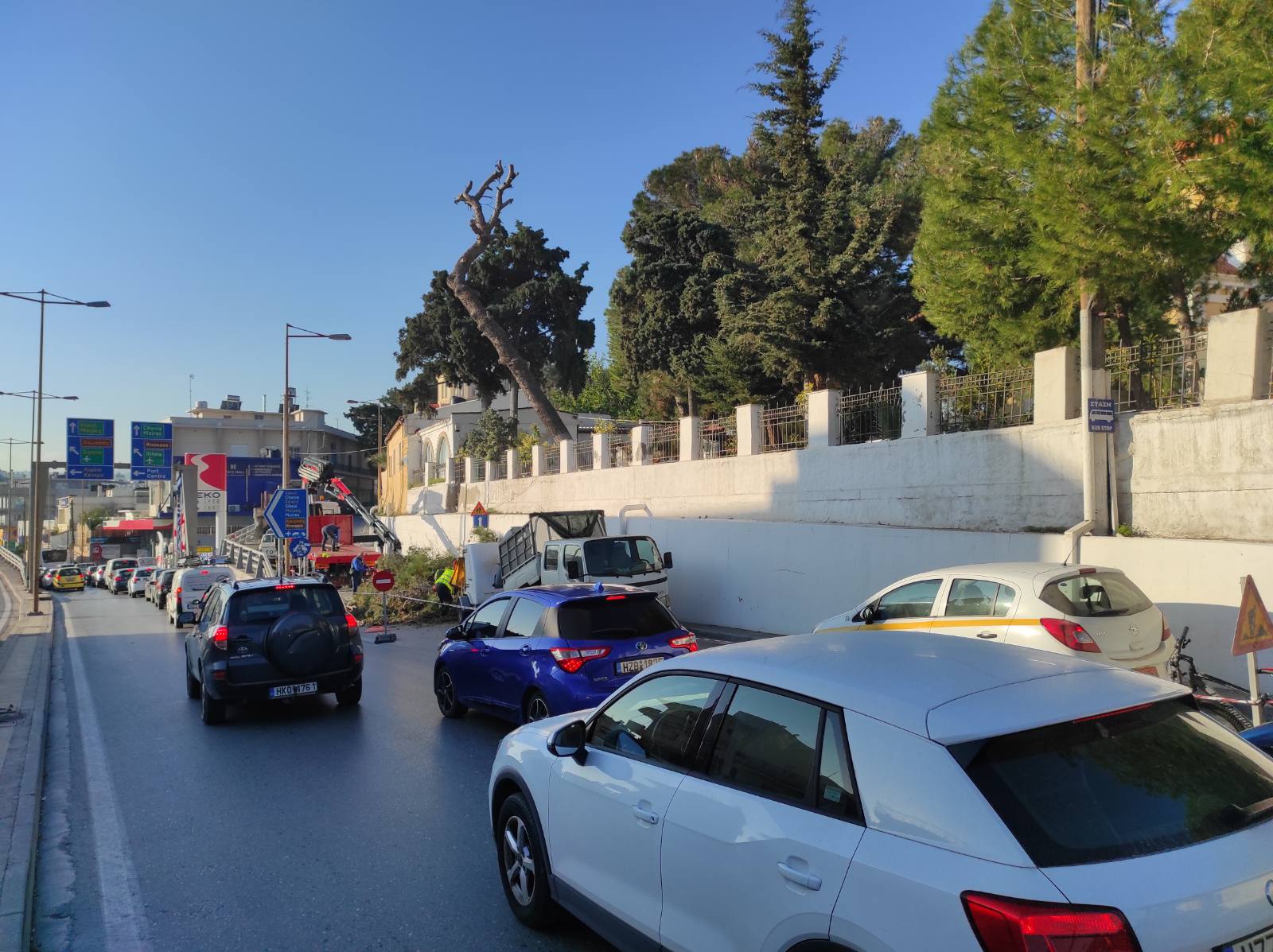 δέντρα κοιμητήριο νεκροταφείο άγιος κωνσταντίνος ηράκλειο