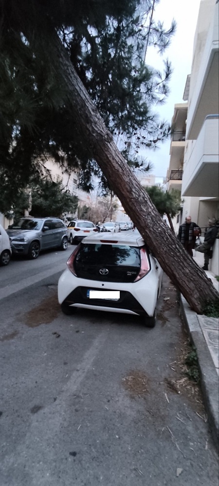 Δέντρο κλίση