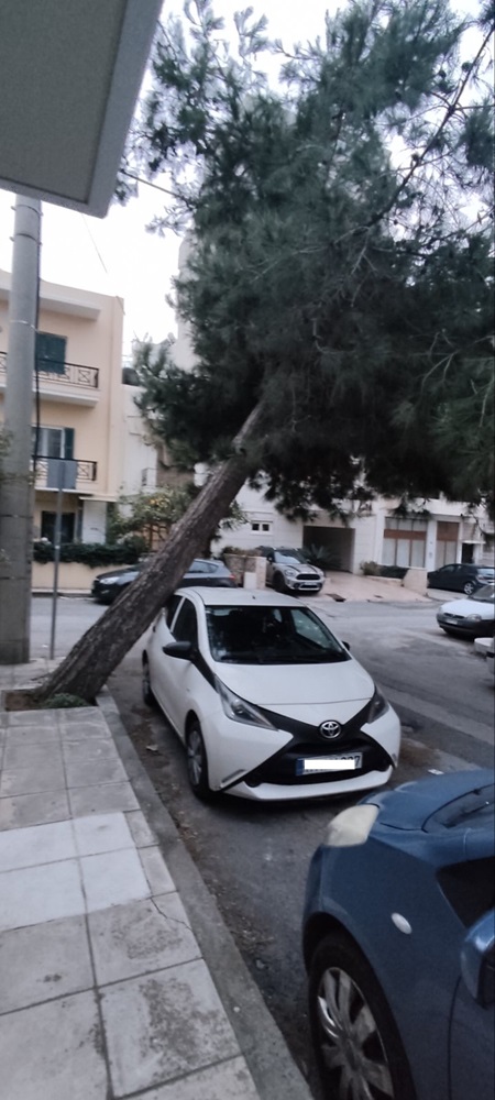 Δέντρο κλίση