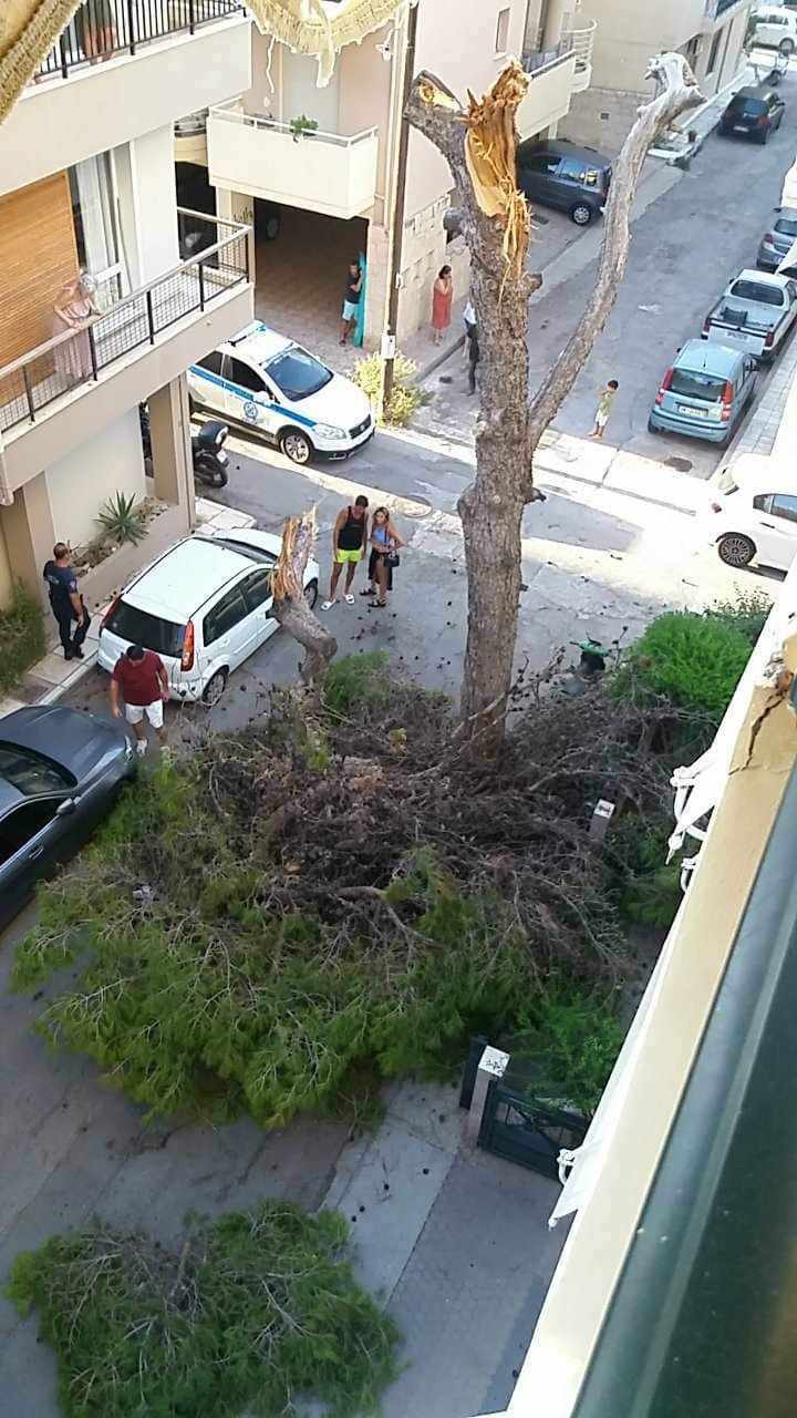 Κωστής Καλυβας