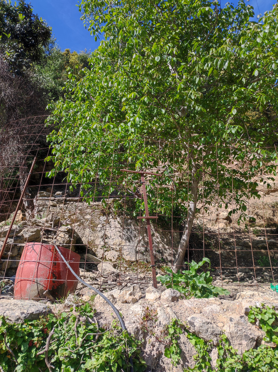 Οργή, φόβος και απόγνωση για τους καταπατητές κτηνοτρόφους στο Μυλοπόταμο 