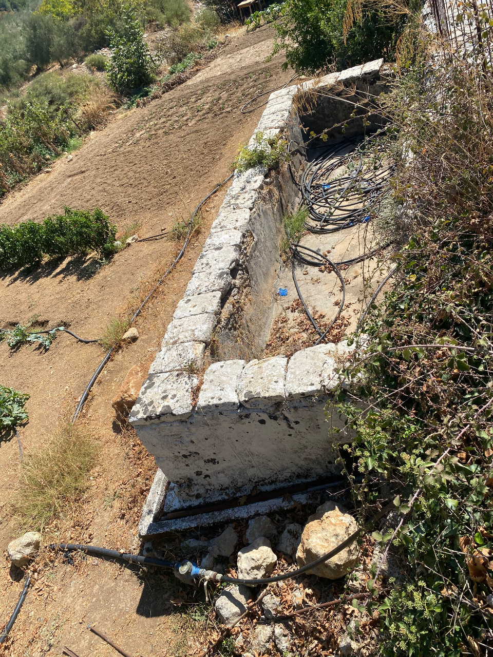 Οργή, φόβος και απόγνωση για τους καταπατητές κτηνοτρόφους στο Μυλοπόταμο 