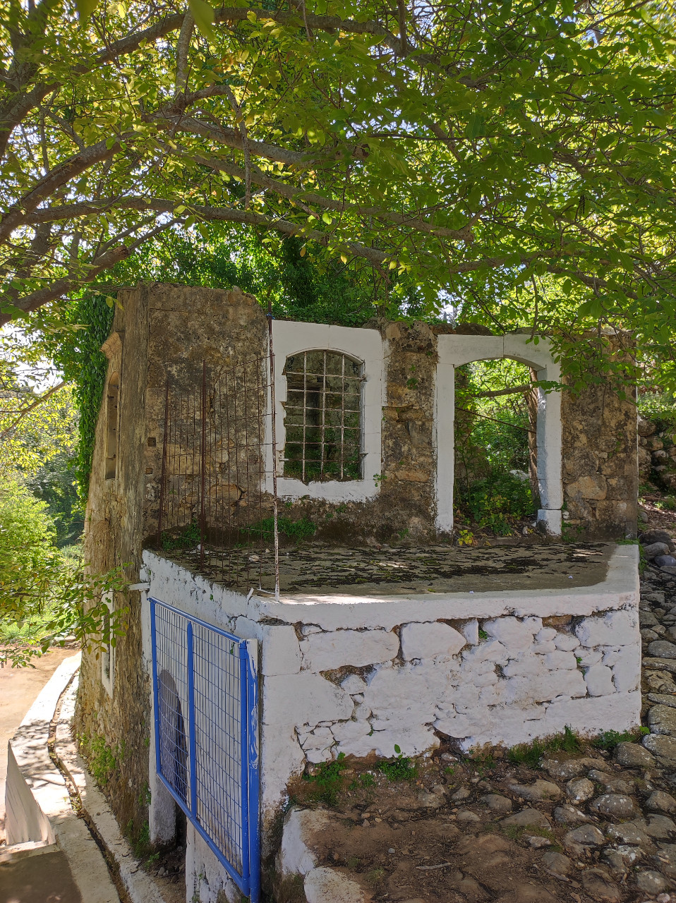 Οργή, φόβος και απόγνωση για τους καταπατητές κτηνοτρόφους στο Μυλοπόταμο 