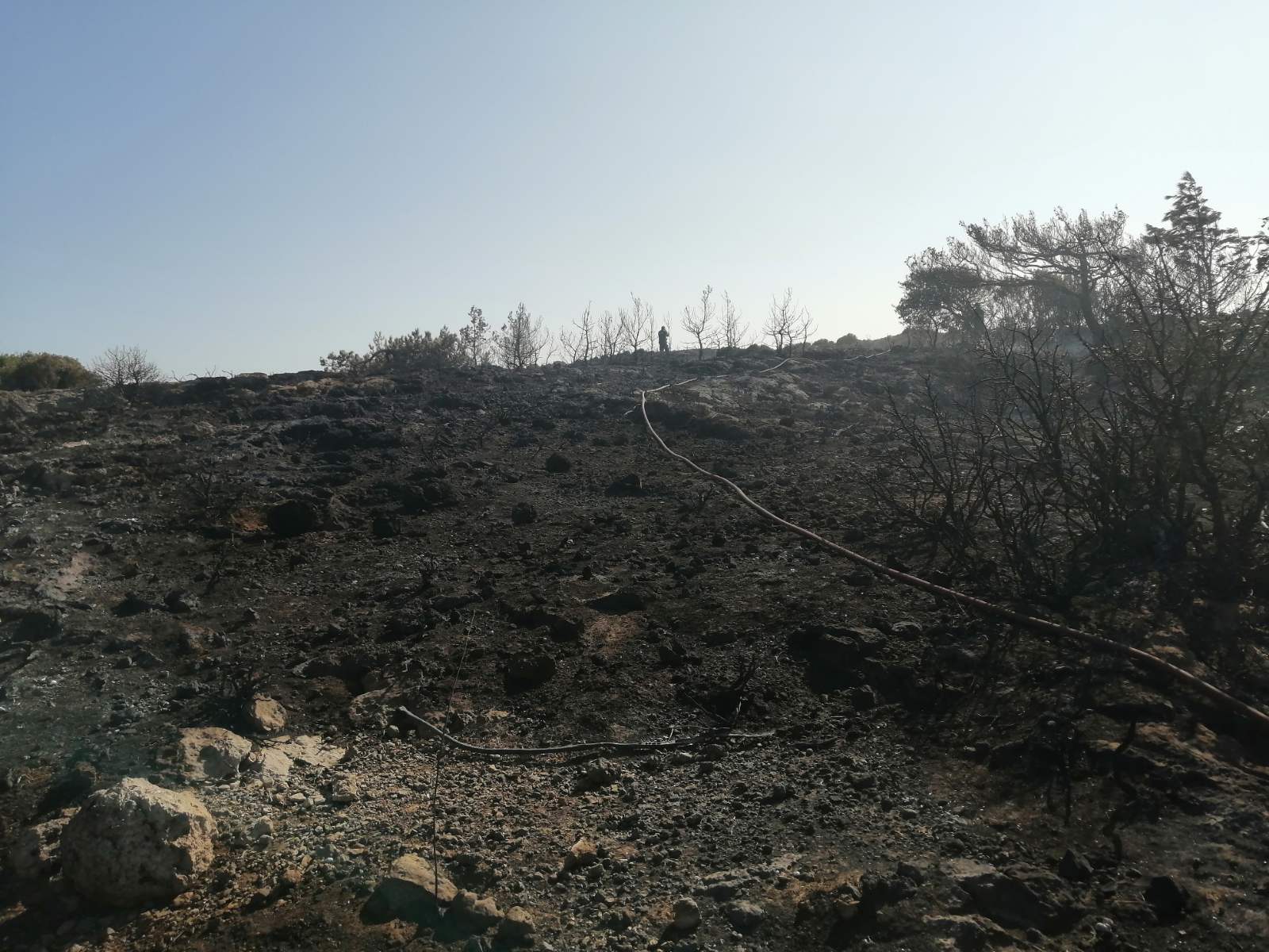 Πρόλαβαν τα χειρότερα οι πυροσβέστες στο Ελαφονήσι - Δείτε φωτογραφίες 