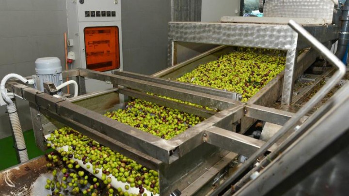 ελαιοτριβείο